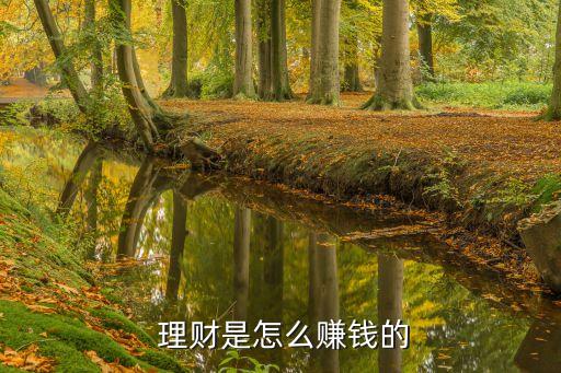  理財(cái)是怎么賺錢(qián)的