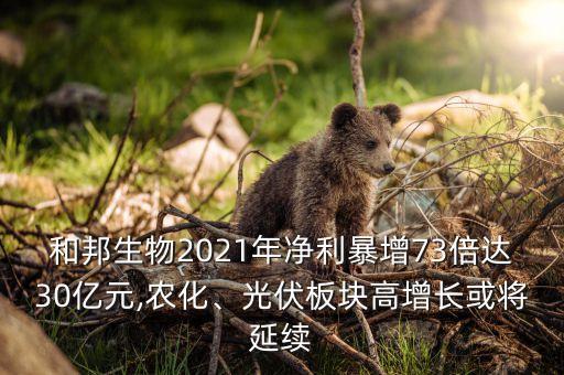 和邦生物2021年凈利暴增73倍達(dá)30億元,農(nóng)化、光伏板塊高增長或?qū)⒀永m(xù)