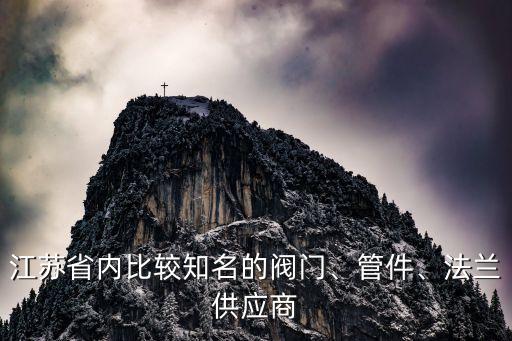 江蘇省內(nèi)比較知名的閥門、管件、法蘭供應(yīng)商