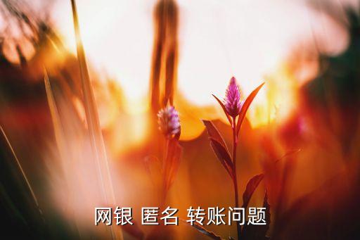 網(wǎng)銀 匿名 轉賬問題