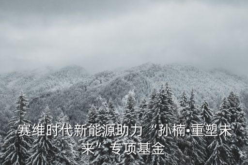  賽維時(shí)代新能源助力“孫楠?重塑未來”專項(xiàng)基金