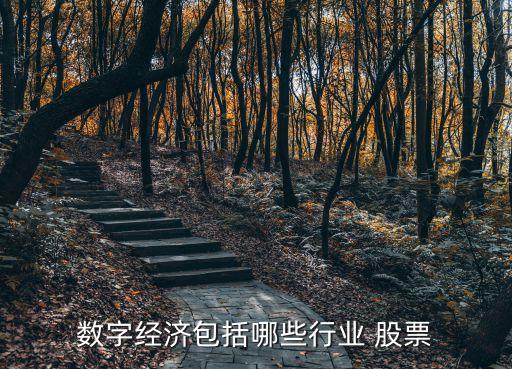 數(shù)字經濟包括哪些行業(yè) 股票