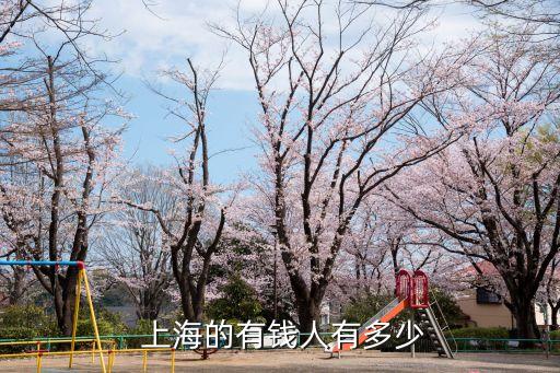 上海千萬(wàn)富翁家庭,上海的千萬(wàn)富翁的人數(shù)