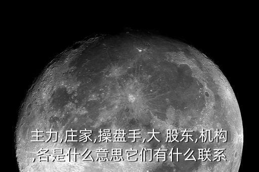 主力,莊家,操盤(pán)手,大 股東,機(jī)構(gòu),各是什么意思它們有什么聯(lián)系