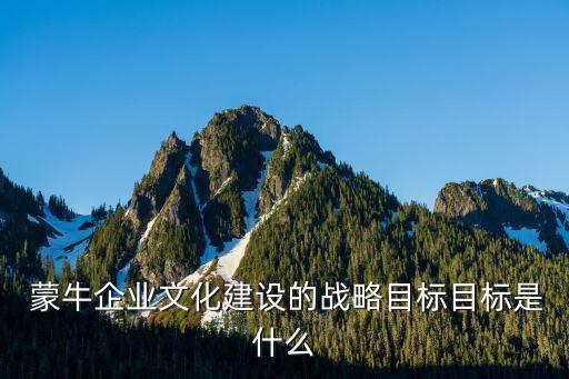 蒙牛股集團公司的治理結構,娃哈哈集團公司治理結構