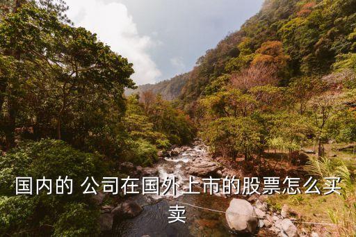 國內的 公司在國外上市的股票怎么買賣