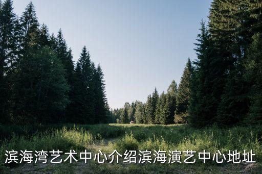 濱海灣藝術中心介紹濱海演藝中心地址