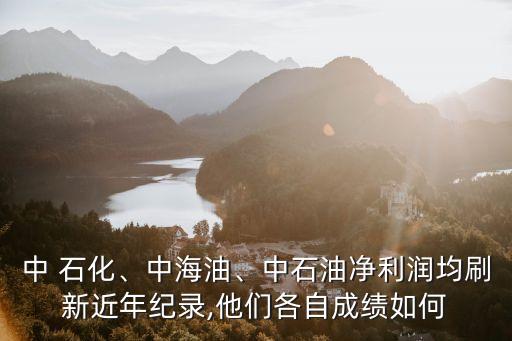 中 石化、中海油、中石油凈利潤(rùn)均刷新近年紀(jì)錄,他們各自成績(jī)?nèi)绾? class=