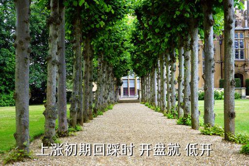 開(kāi)盤的時(shí)候有的股票為什么低開(kāi)