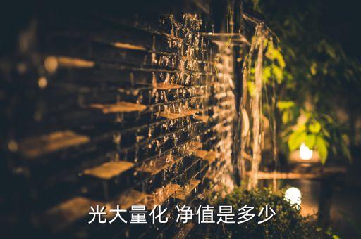 光大有時(shí)基金凈值查詢,360007光大優(yōu)勢基金凈值查詢