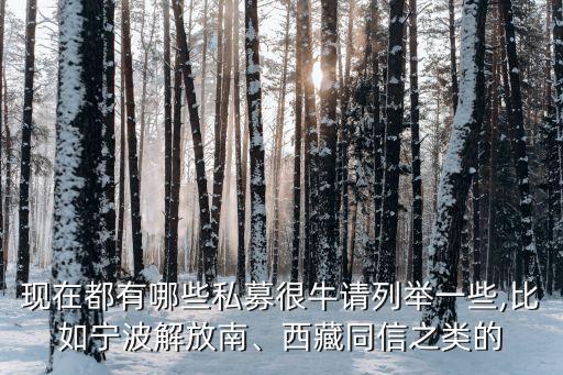 現(xiàn)在都有哪些私募很牛請列舉一些,比如寧波解放南、西藏同信之類的