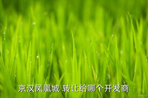 京漢鳳凰城 轉讓給哪個開發(fā)商