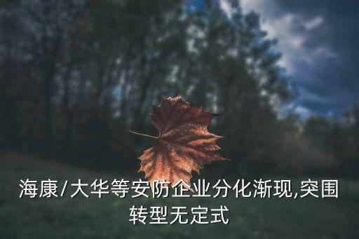?？?大華等安防企業(yè)分化漸現(xiàn),突圍轉(zhuǎn)型無定式
