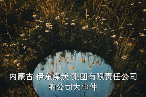 伊東集團(tuán)楊二喜,鄂爾多斯伊東集團(tuán)楊二喜個(gè)人簡介