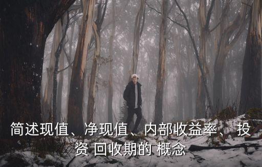 簡述現(xiàn)值、凈現(xiàn)值、內(nèi)部收益率、 投資 回收期的 概念