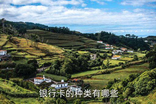  銀行卡的種類(lèi)有哪些