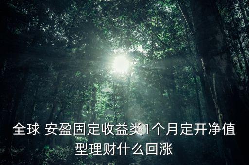 全球 安盈固定收益類1個(gè)月定開(kāi)凈值型理財(cái)什么回漲