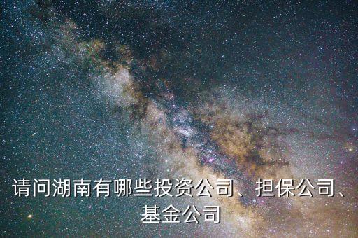 請(qǐng)問湖南有哪些投資公司、擔(dān)保公司、 基金公司