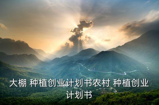 大棚 種植創(chuàng)業(yè)計劃書農村 種植創(chuàng)業(yè)計劃書