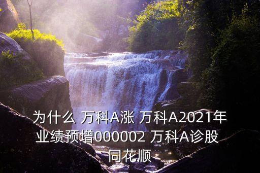 為什么 萬科A漲 萬科A2021年業(yè)績(jī)預(yù)增000002 萬科A診股 同花順