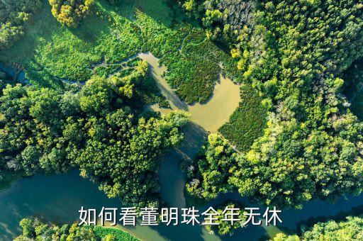 格力集團董事長是,現任格力集團董事長是誰