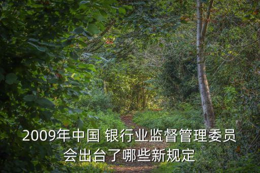 2009年中國 銀行業(yè)監(jiān)督管理委員會(huì)出臺(tái)了哪些新規(guī)定