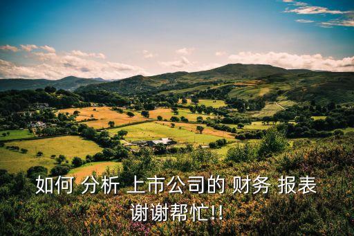 如何 分析 上市公司的 財(cái)務(wù) 報表謝謝幫忙!!