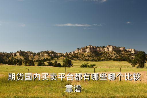  期貨國內(nèi)買賣平臺(tái)都有哪些哪個(gè)比較靠譜
