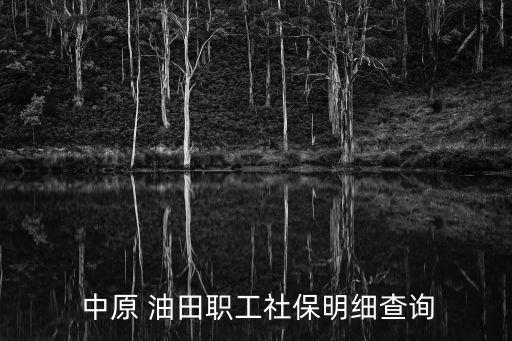  中原 油田職工社保明細(xì)查詢(xún)