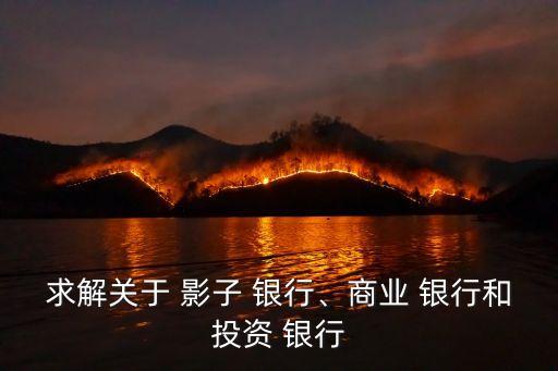 求解關(guān)于 影子 銀行、商業(yè) 銀行和投資 銀行