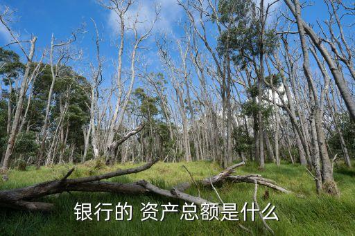 銀行的 資產總額是什么