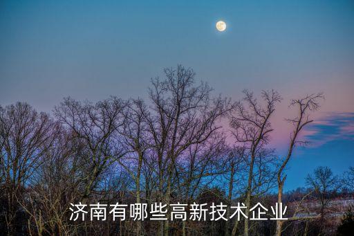  濟南有哪些高新技術企業(yè)