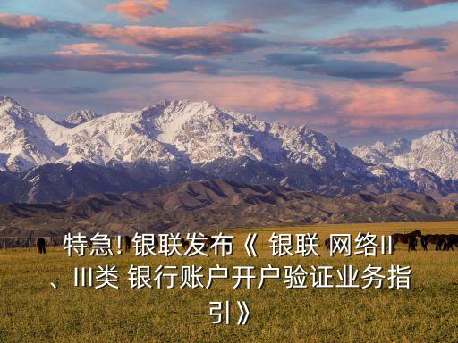 特急! 銀聯(lián)發(fā)布《 銀聯(lián) 網(wǎng)絡(luò)II、III類 銀行賬戶開戶驗證業(yè)務(wù)指引》