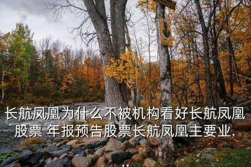 長航鳳凰為什么不被機構(gòu)看好長航鳳凰股票 年報預告股票長航鳳凰主要業(yè)...