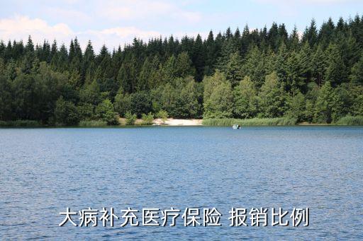  大病補充醫(yī)療保險 報銷比例