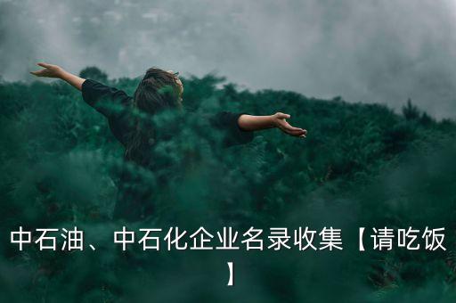 中石油、中石化企業(yè)名錄收集【請(qǐng)吃飯】