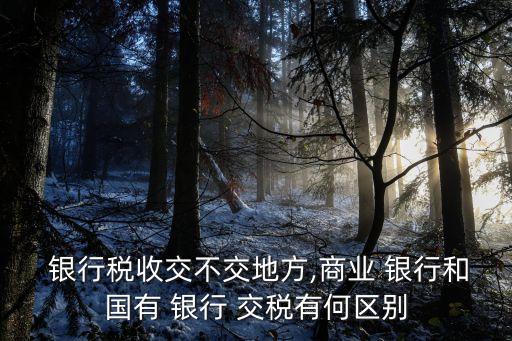  銀行稅收交不交地方,商業(yè) 銀行和國(guó)有 銀行 交稅有何區(qū)別