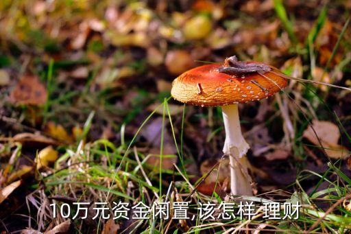 10萬(wàn)如何投資理財(cái),3000萬(wàn)如何投資理財(cái)