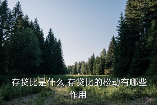  存貸比是什么 存貸比的松動(dòng)有哪些作用