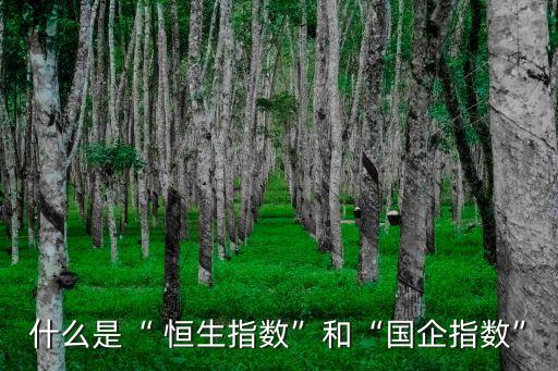 什么是“ 恒生指數”和“國企指數”