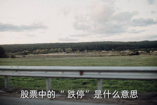  股票中的“ 跌?！笔鞘裁匆馑? class=