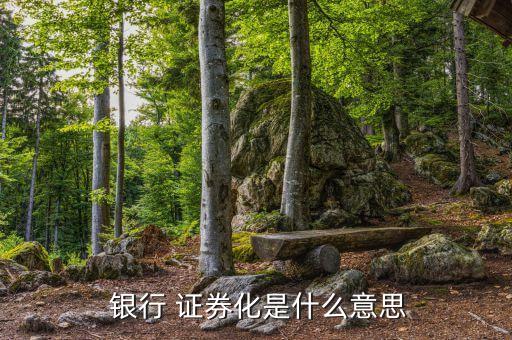 銀行信貸資產證券化風險,對銀行信貸資產證券化的描述不正確的是