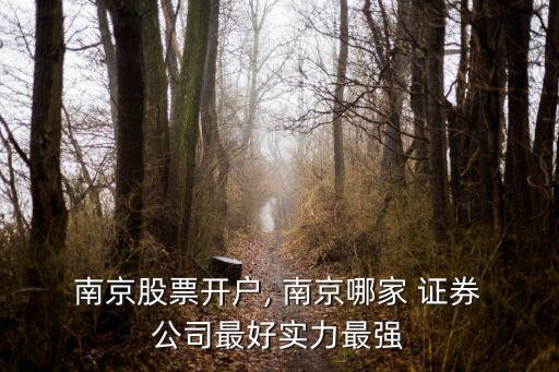 南京股票開戶, 南京哪家 證券 公司最好實力最強(qiáng)