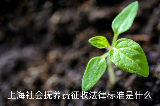 上海社會撫養(yǎng)費(fèi)征收法律標(biāo)準(zhǔn)是什么