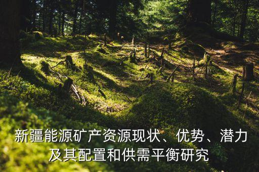  新疆能源礦產(chǎn)資源現(xiàn)狀、優(yōu)勢、潛力及其配置和供需平衡研究