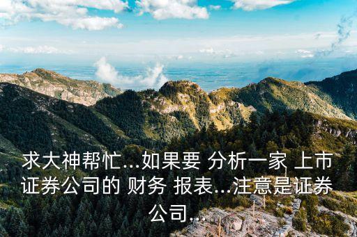 求大神幫忙…如果要 分析一家 上市證券公司的 財(cái)務(wù) 報表…注意是證券公司...