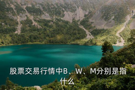  股票交易行情中B、W、M分別是指什么