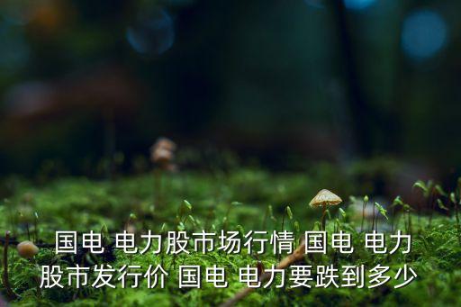  國電 電力股市場(chǎng)行情 國電 電力股市發(fā)行價(jià) 國電 電力要跌到多少