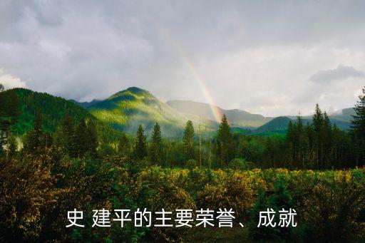 史 建平的主要榮譽、成就