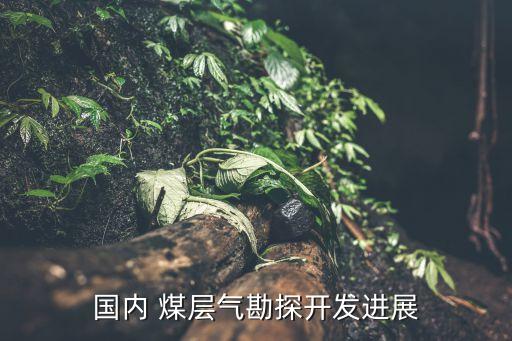國(guó)內(nèi) 煤層氣勘探開發(fā)進(jìn)展